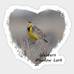 Western Meadowlark Sticker